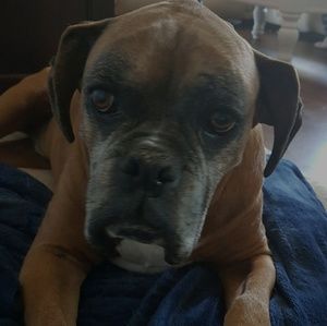 Meet your Posher, Natasha